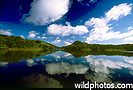 Chandan Chowdhury - India stock photos- Portfolio