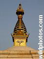 Shravasti, Kapilvastu, Lumbini, Kushinagar, Tibetan Buddhism